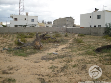 V 042 -                            Koupit
                           Terrain Djerba